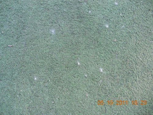 DSCN01550.jpg