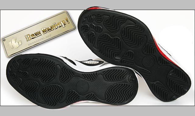 Air Jordan 2010