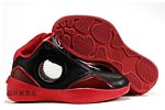 fake Air Jordan 2010