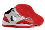 fake Air Jordan 2010