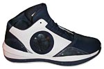 air jordan 2010 All Star Ray Allen PE