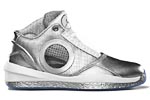 air jordan 2010 silver anniversary