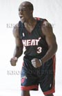 dwayne wade emmotions