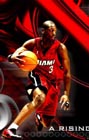 wade wallpaper