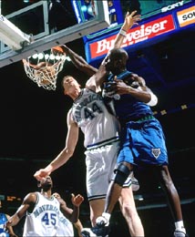 garnet_power_dunk